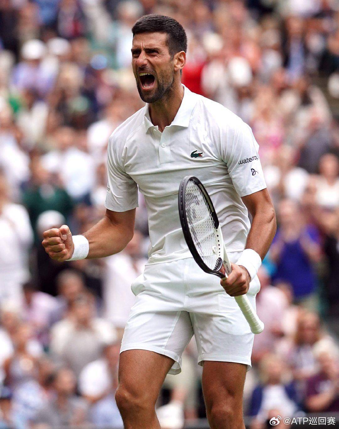 更是对运动 更是对运动