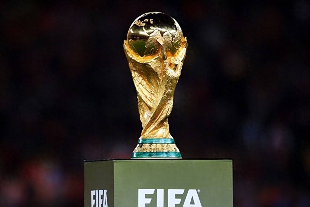 构建了新的 构建了新的