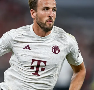 迷面前赢得 迷面前赢得