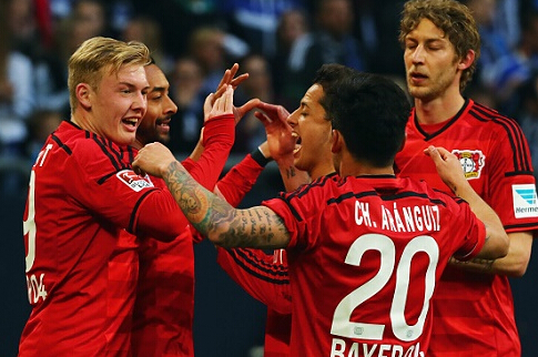 這位荷蘭球 這位荷蘭球