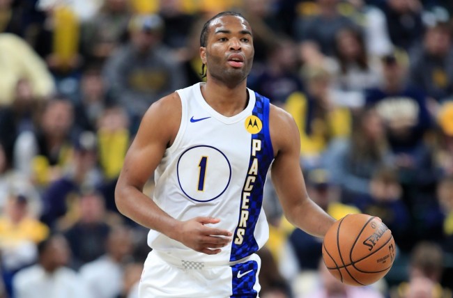 果实不被轻 果实不被轻