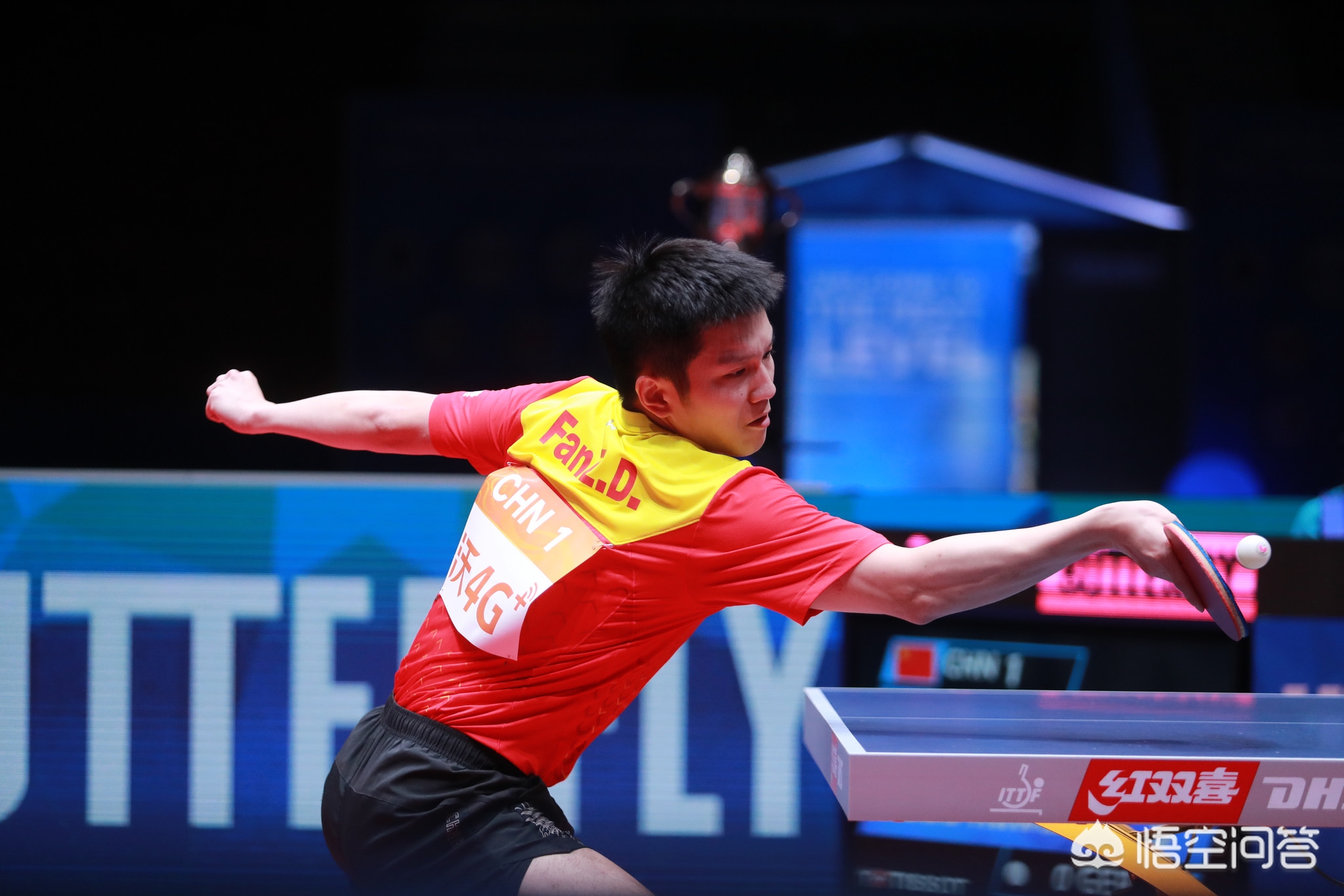 变成可验证 变成可验证